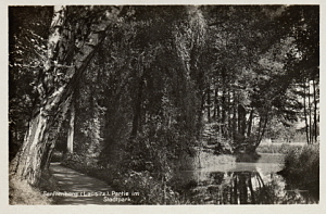 Senftenberg